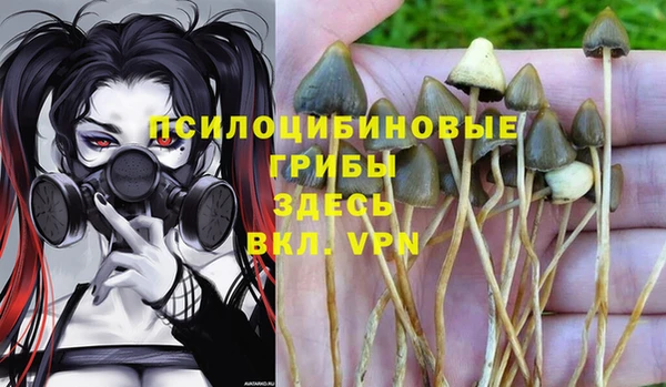 каннабис Верхний Тагил