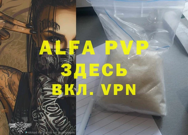 ГАЛЛЮЦИНОГЕННЫЕ ГРИБЫ Верея