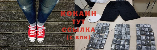 ГАЛЛЮЦИНОГЕННЫЕ ГРИБЫ Верея