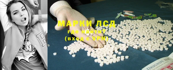 ГАЛЛЮЦИНОГЕННЫЕ ГРИБЫ Верея
