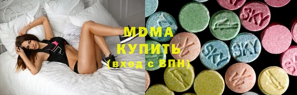 ГАЛЛЮЦИНОГЕННЫЕ ГРИБЫ Верея