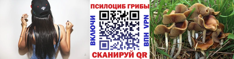 гидра зеркало  Иркутск  Псилоцибиновые грибы прущие грибы 